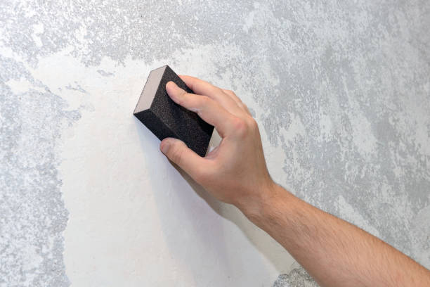 Best Real Estate Mold Inspection  in Thermopolis, WY