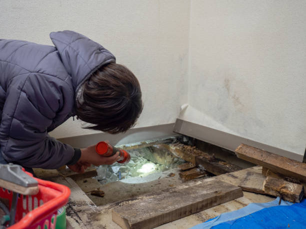 Best Mold Removal for HVAC Installations  in Thermopolis, WY