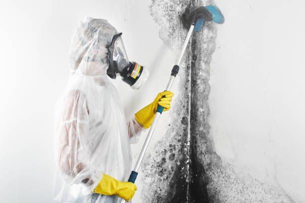 Best Post-Remediation Verification Testing  in Thermopolis, WY