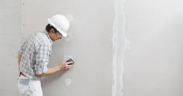 Best Asbestos and Lead Testing During Mold Inspection  in Thermopolis, WY