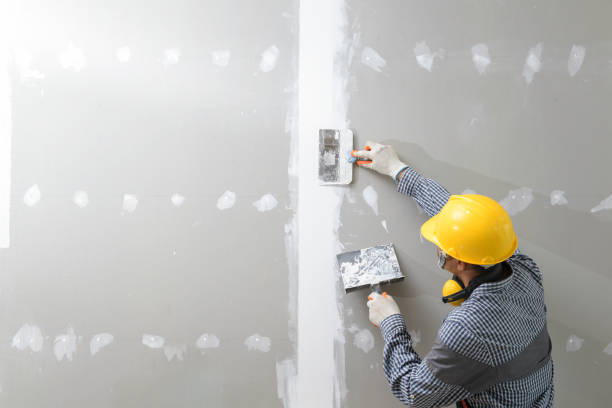 Thermopolis, WY Mold Removal Company
