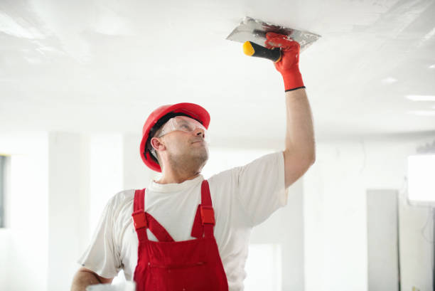 Best Biohazard Mold Removal  in Thermopolis, WY