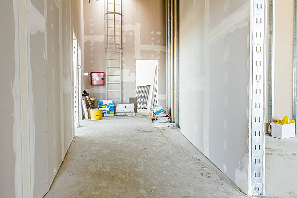 Best Mold Remediation for Healthcare Facilities  in Thermopolis, WY