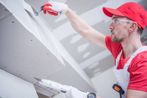 Best Forensic Mold Investigation  in Thermopolis, WY